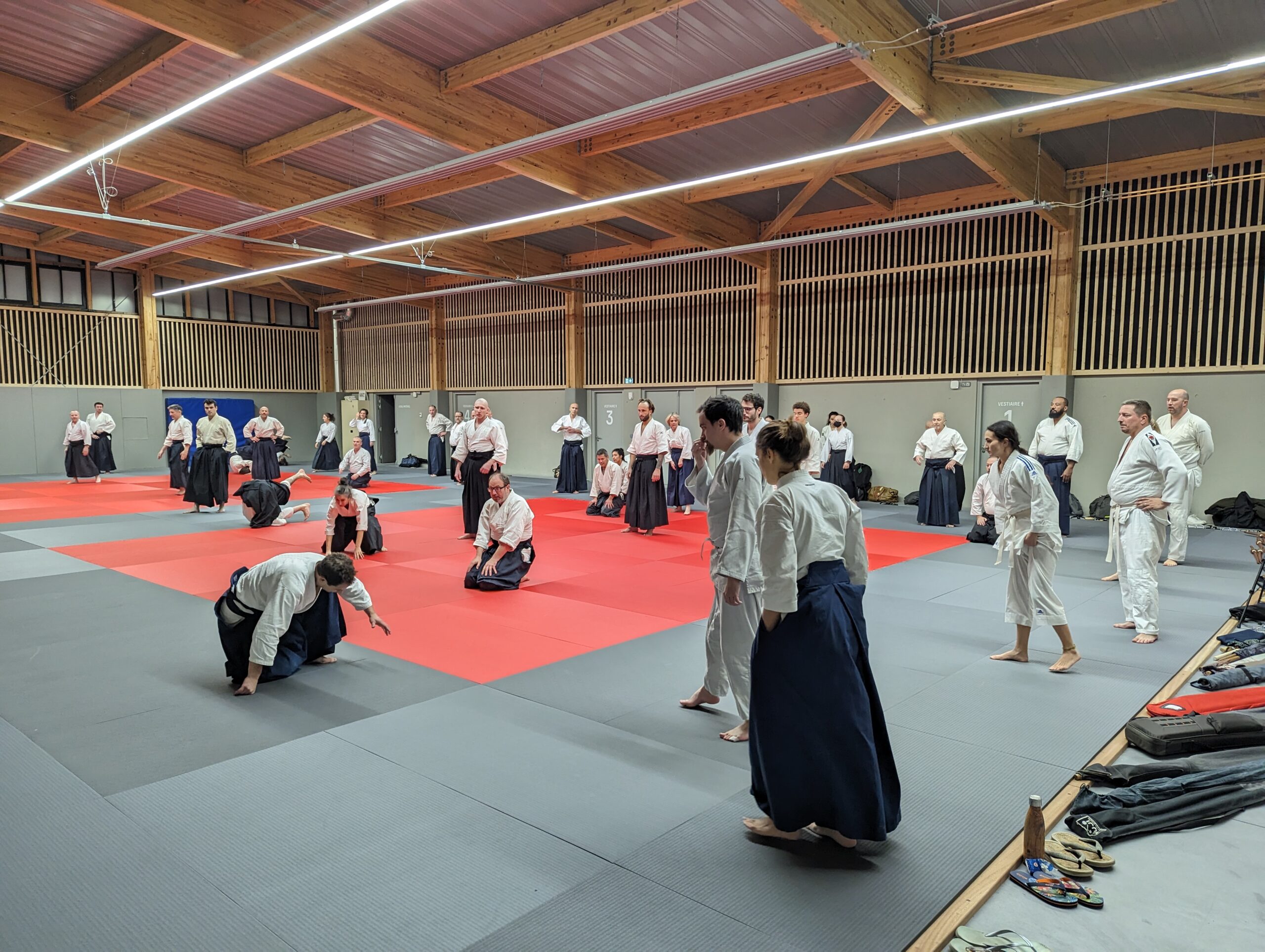 PXL_20231208_185900425.MP