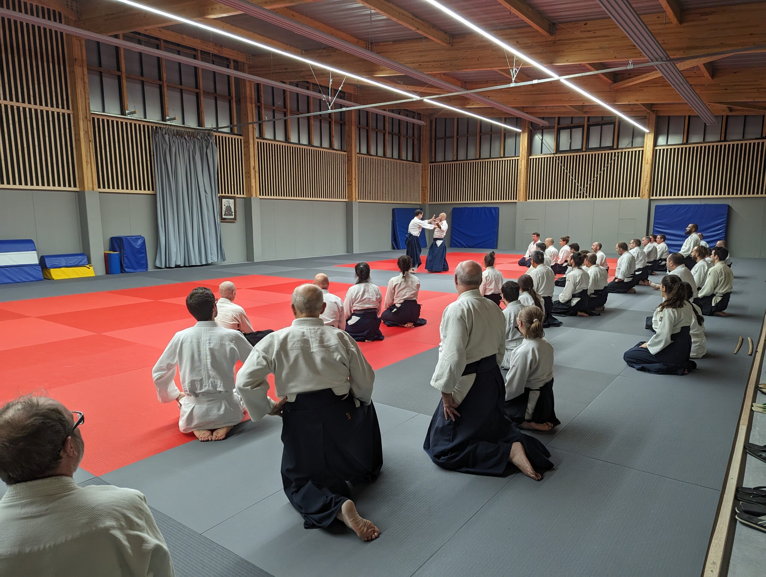 PXL_20231208_193136616.MP