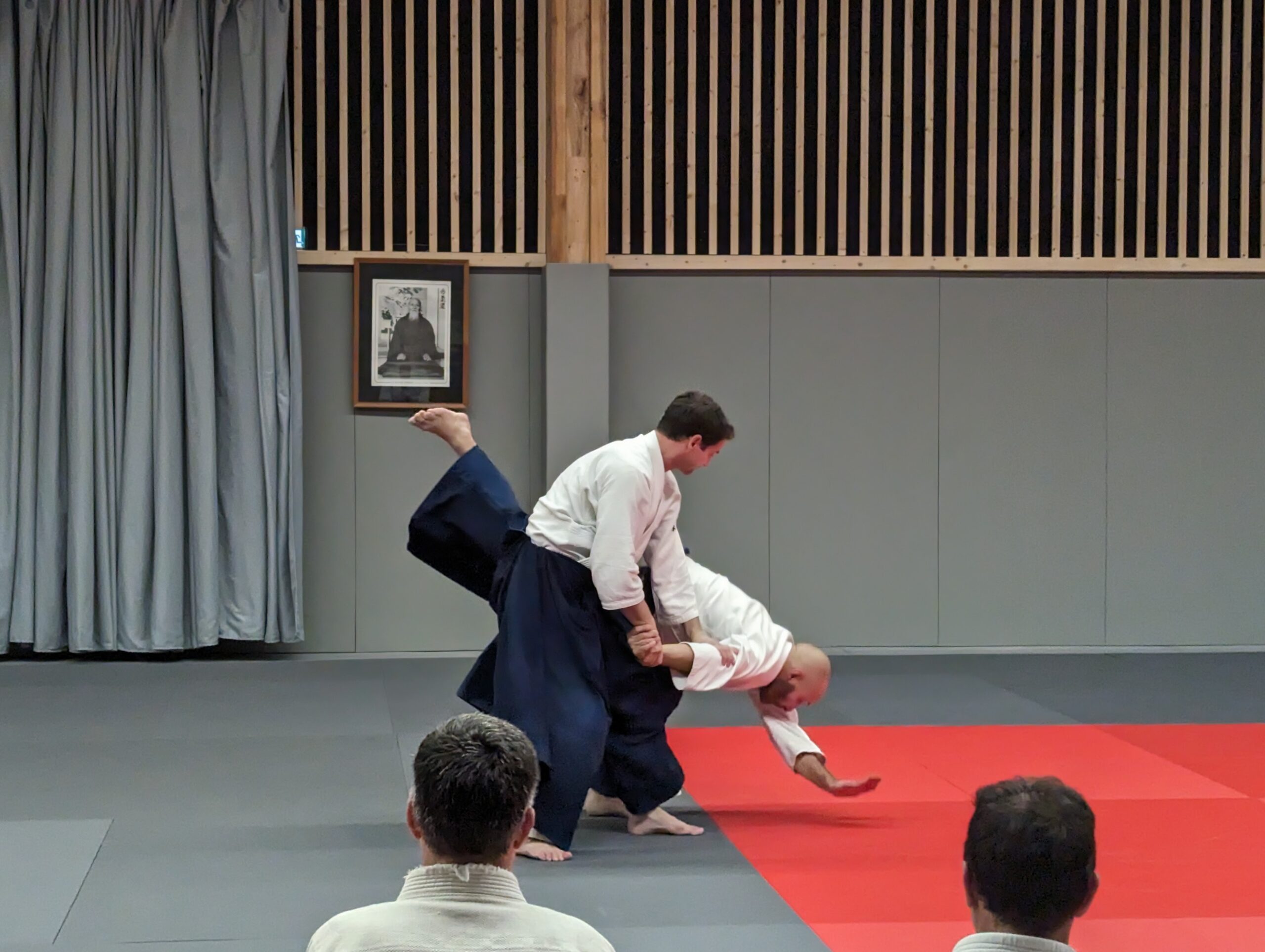 PXL_20231208_193255934.MP