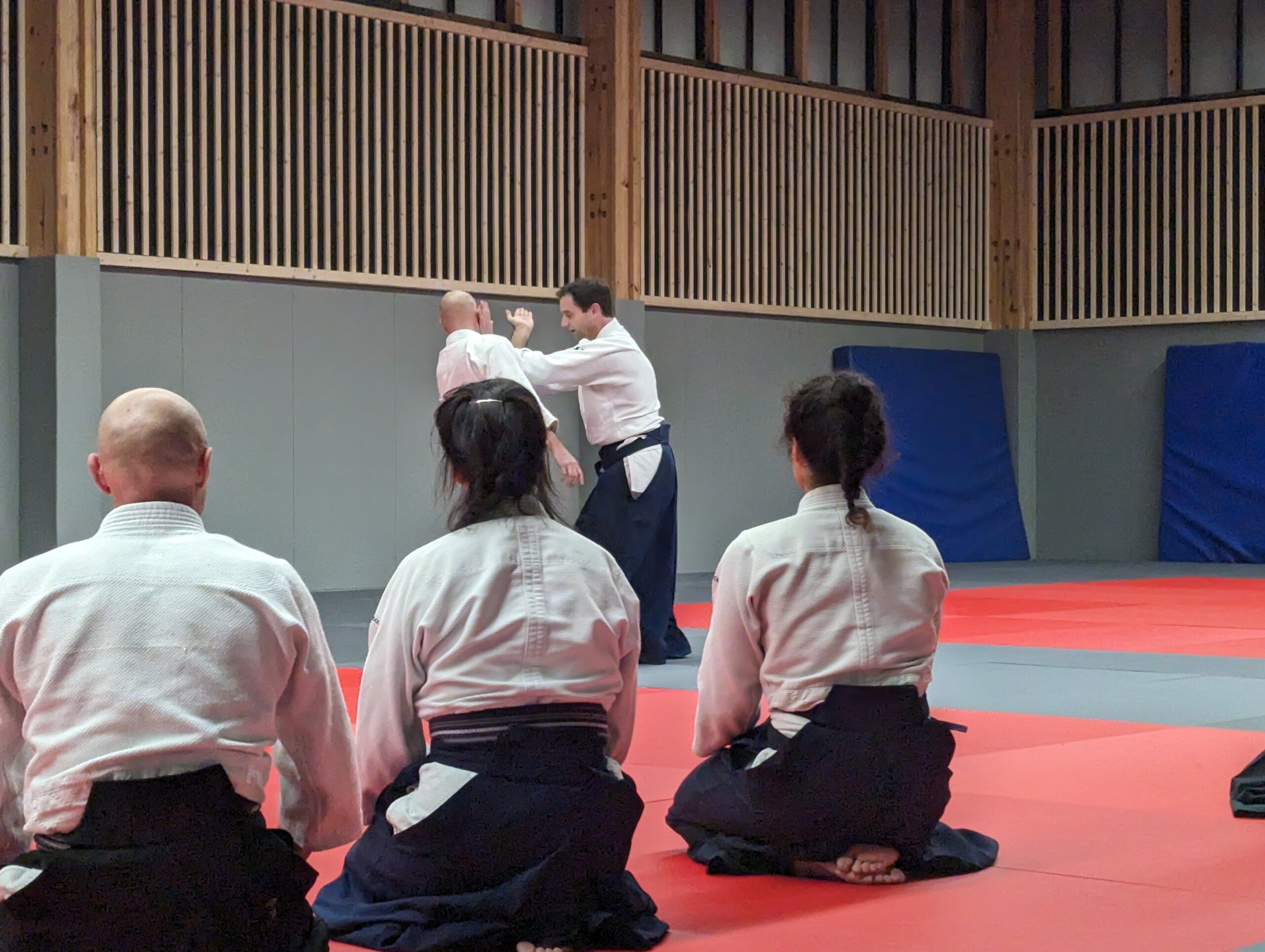 PXL_20231208_193421597.MP