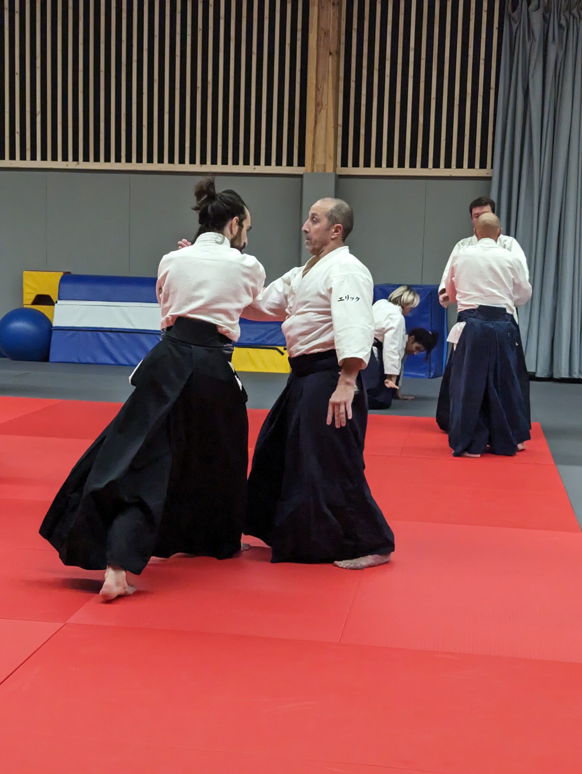 PXL_20231208_193648842.MP