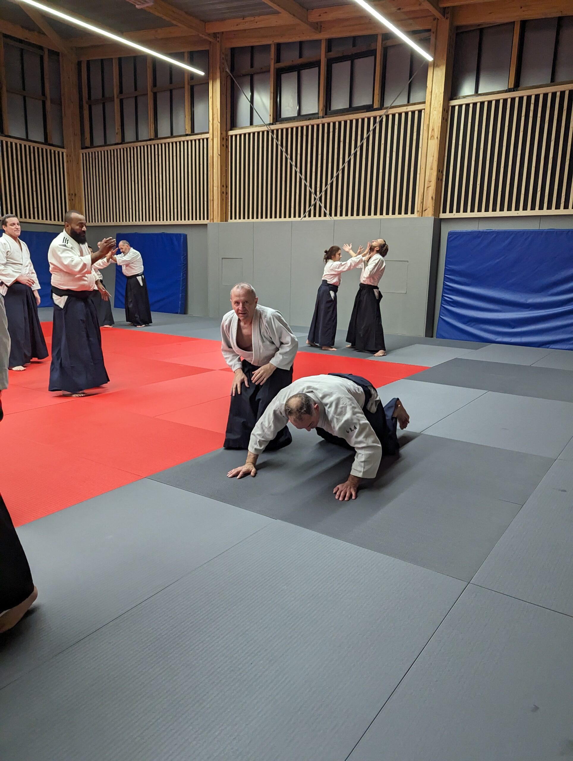 PXL_20231208_193722045.MP