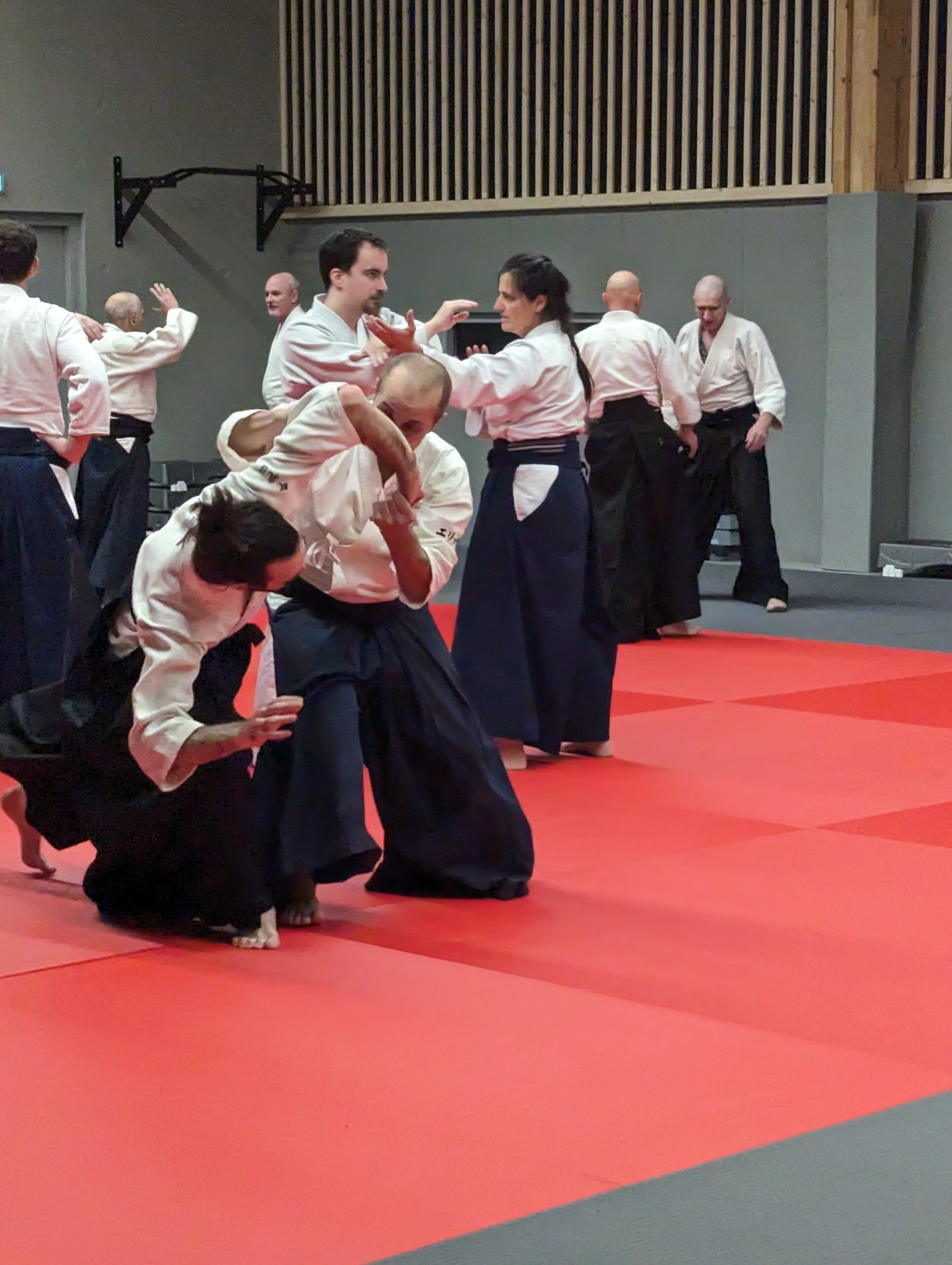 PXL_20231208_193727625.MP