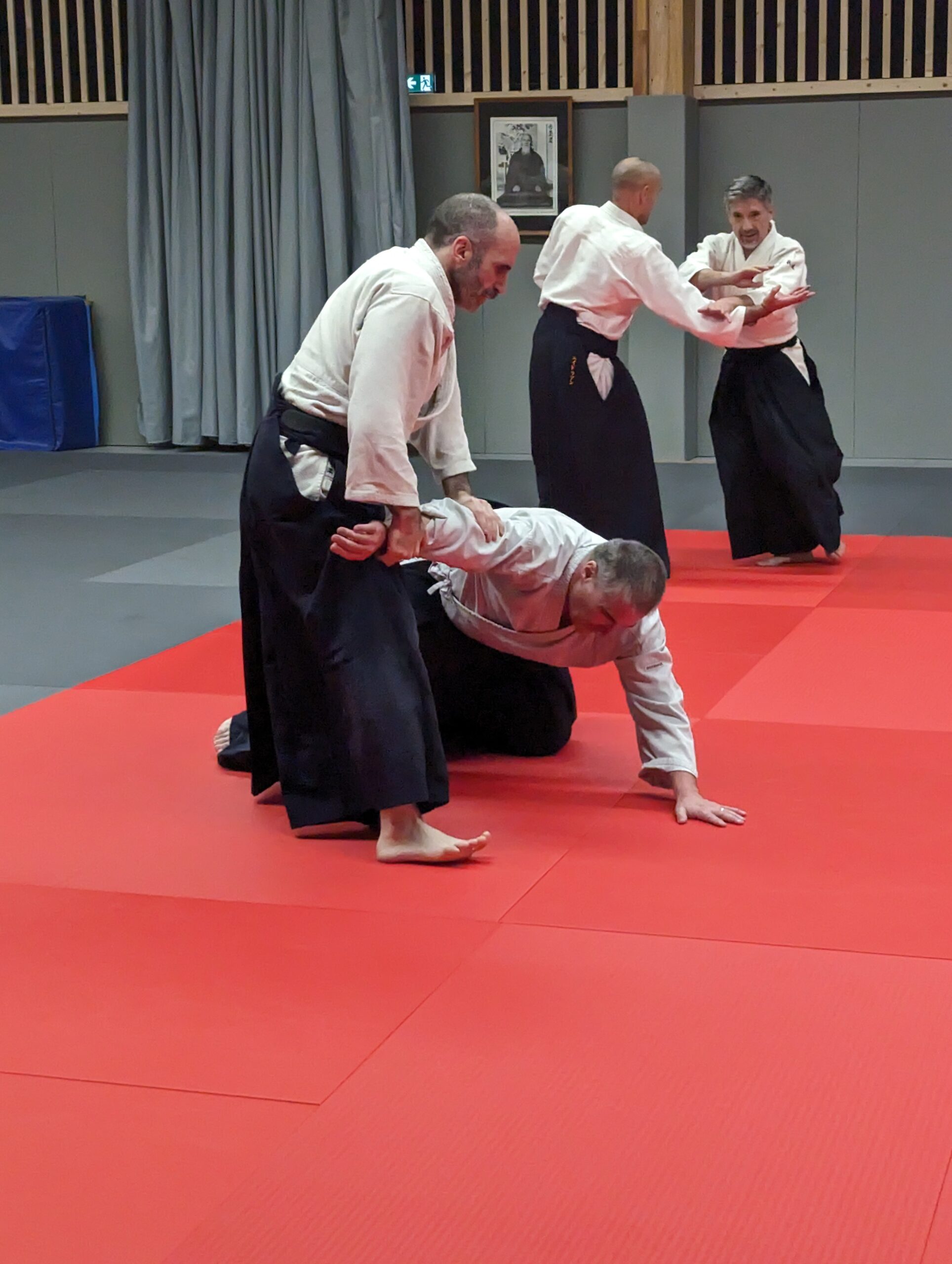 PXL_20231208_193749852.MP