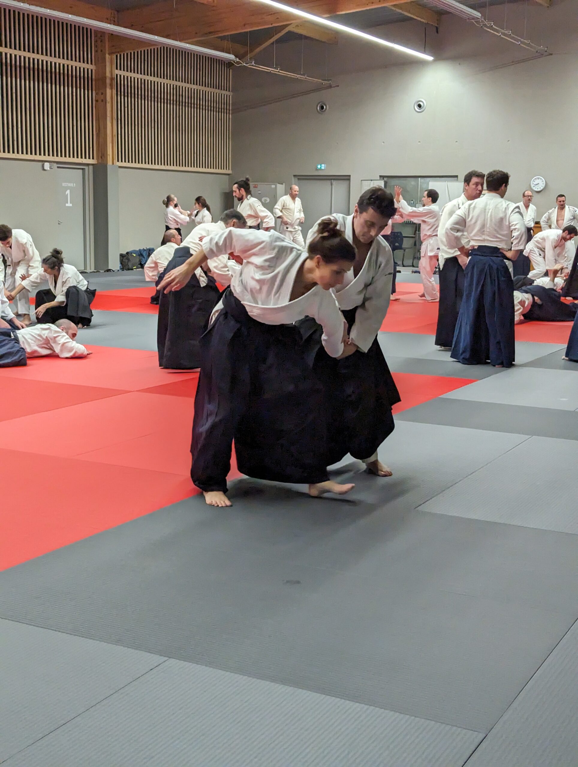 PXL_20231208_193936553.MP