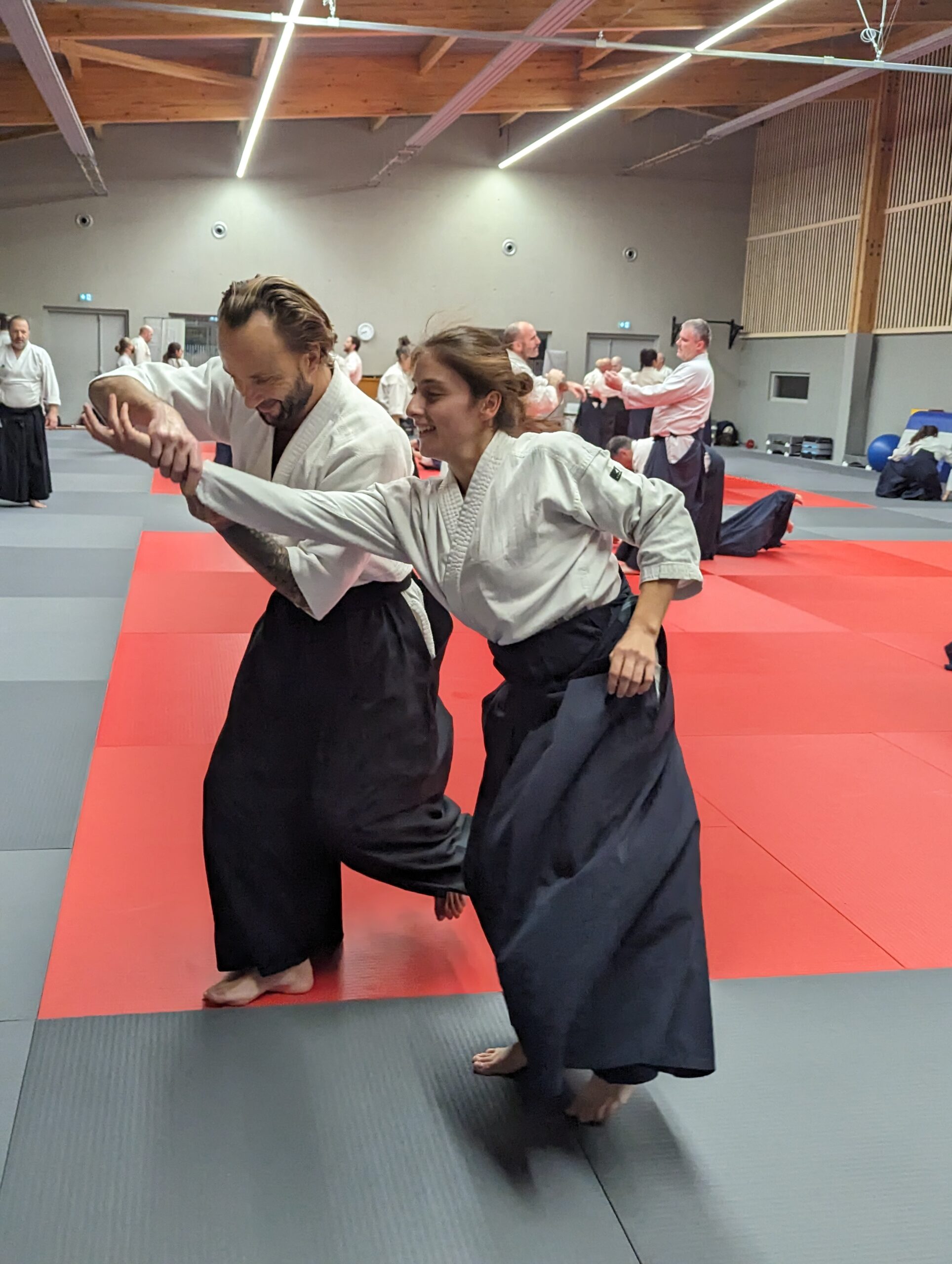 PXL_20231208_194114407.MP