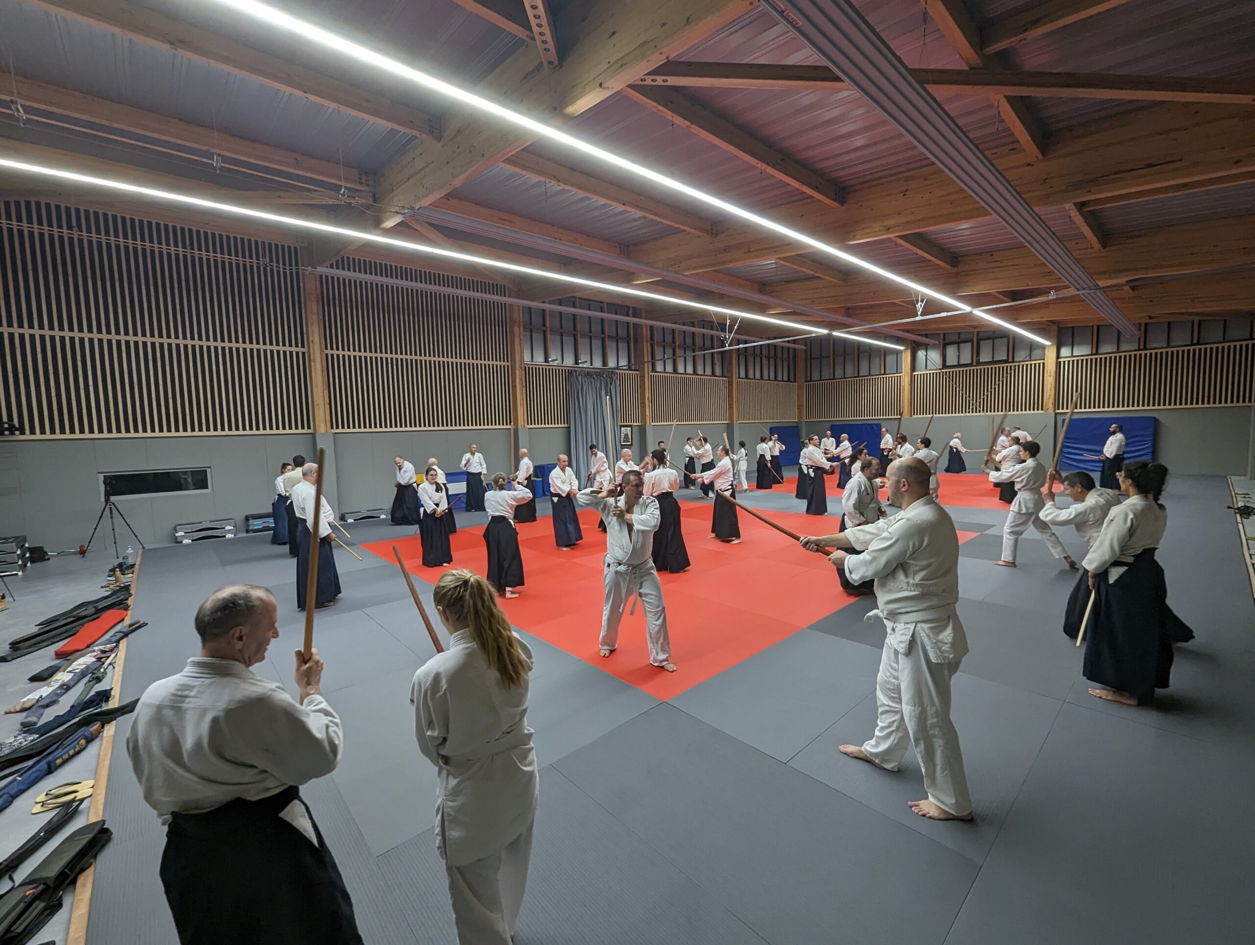 PXL_20231208_201105527.MP