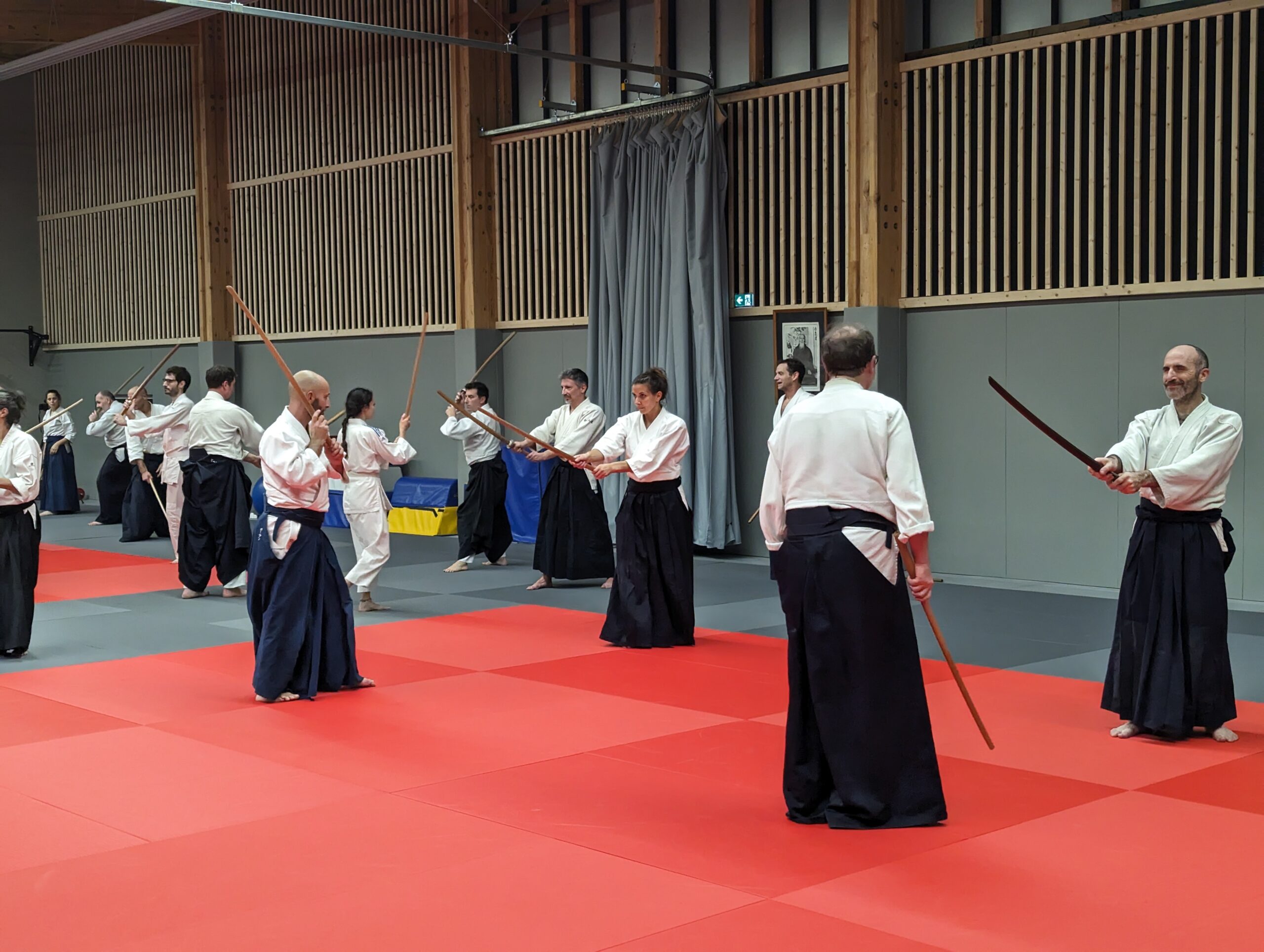 PXL_20231208_201155132.MP