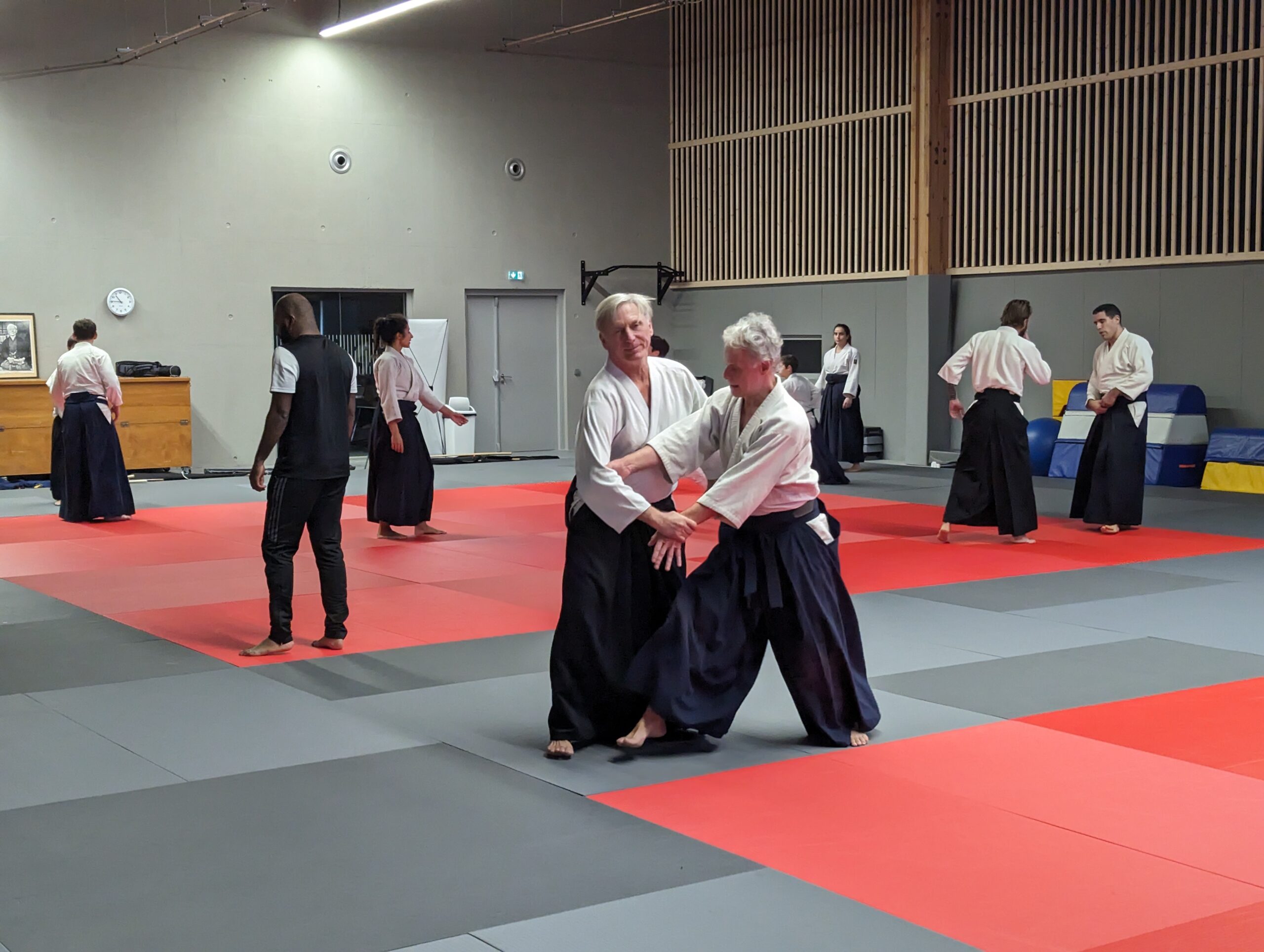 PXL_20231210_094603580.MP