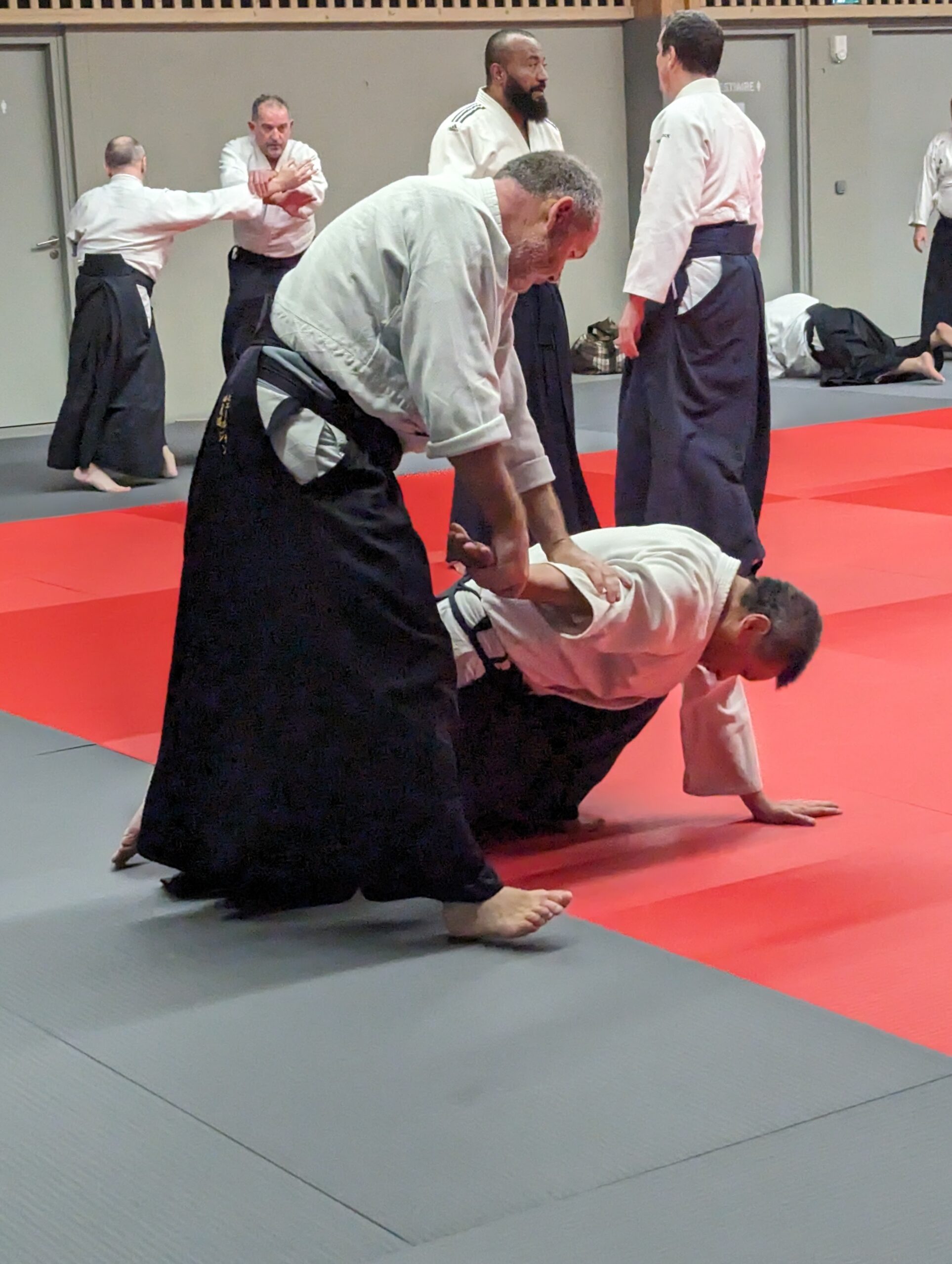 original_9964db4e-14da-48ae-88fe-4454a8a47376_PXL_20231208_194016467.MP